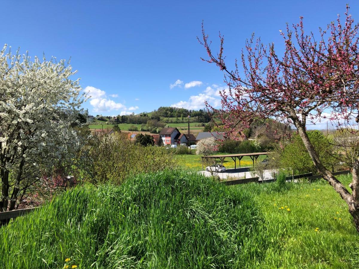 Ferienwohnungen Und Appartements Im Idyllischen Vierkanthof, Gruppenurlaube Fürstenfeld Exterior foto